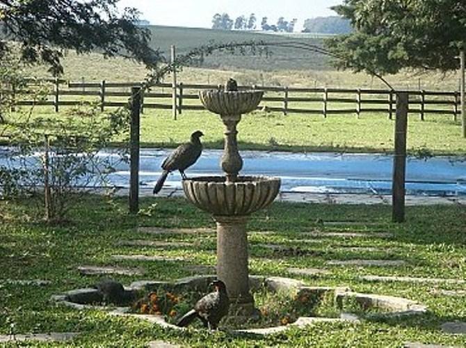 Farm stay Chacara Roseiras