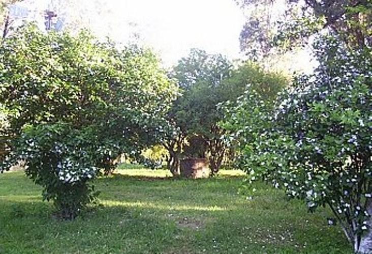 Farm stay Chacara Roseiras